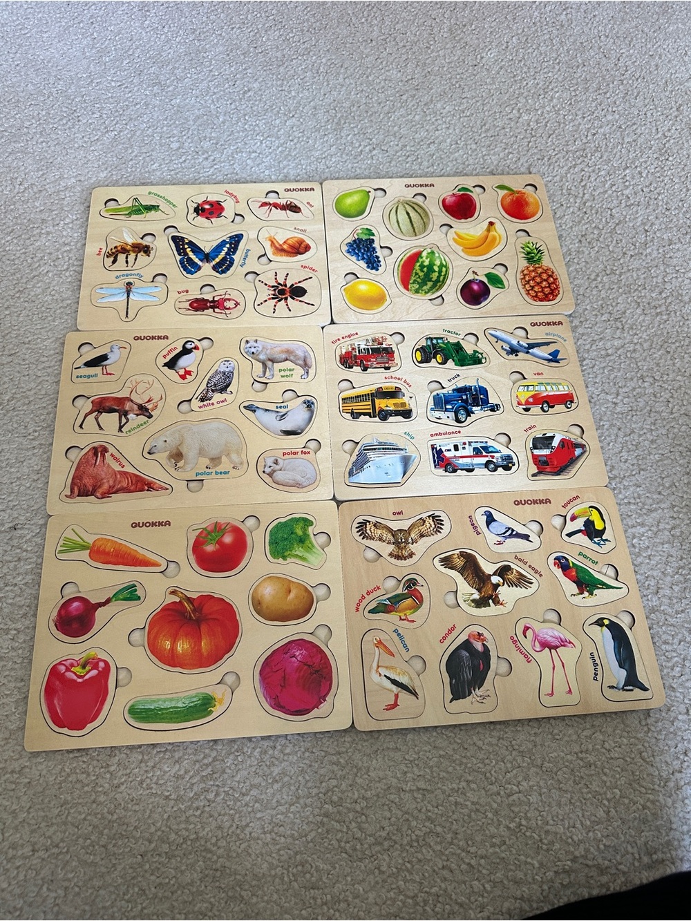 Wooden Toddler Puzzle Set – Animals, Fruits, Vehicles & More | Montessori Learni